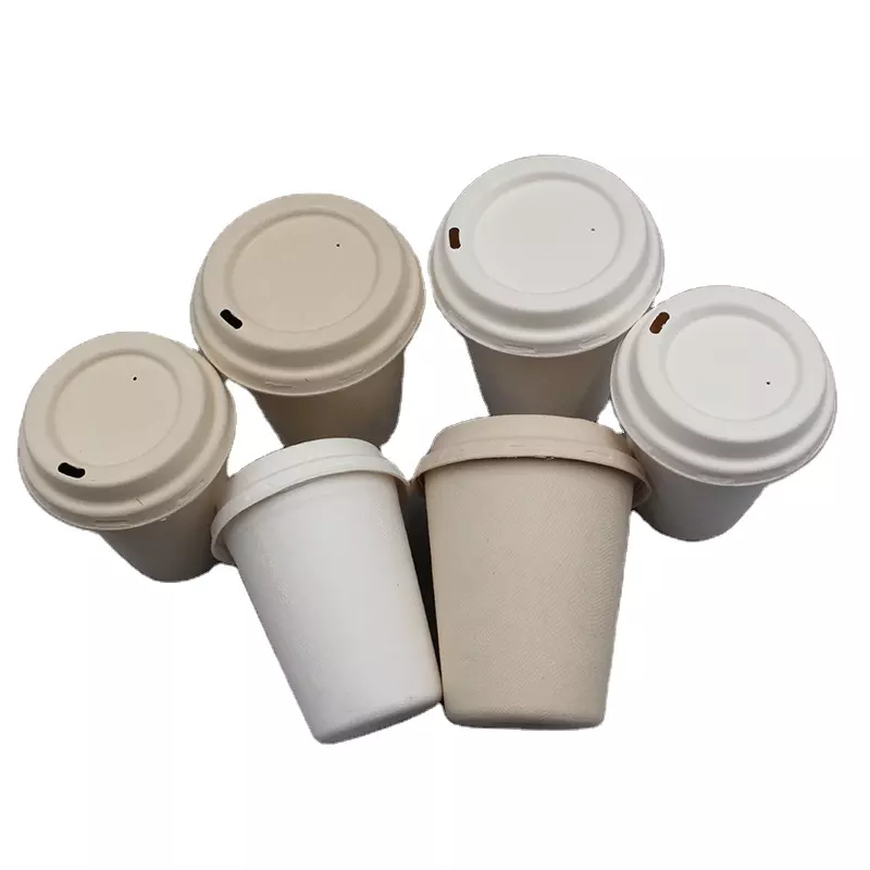 https://www.bliitt.com/wp-content/uploads/2022/08/biodegradable-cups-with-lids-3.webp